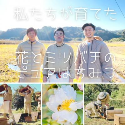 ふるさと納税 香取市 水の郷の花々から採ったそのまま「生はちみつ」 非加熱・無添加・無加工 国産純粋さくらはちみつ |  | 01