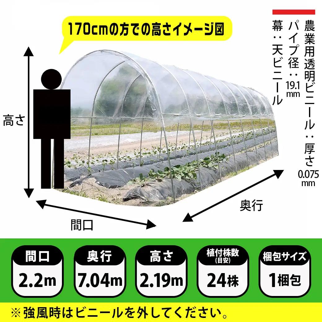 雨よけハウス【2畝用】〈AM-2270〉〔65-J401〕_(都城市) 雨よけのハウス みずみずしい野菜 完全組立式 簡単 設置 障害や病気対策 24株 2畝用