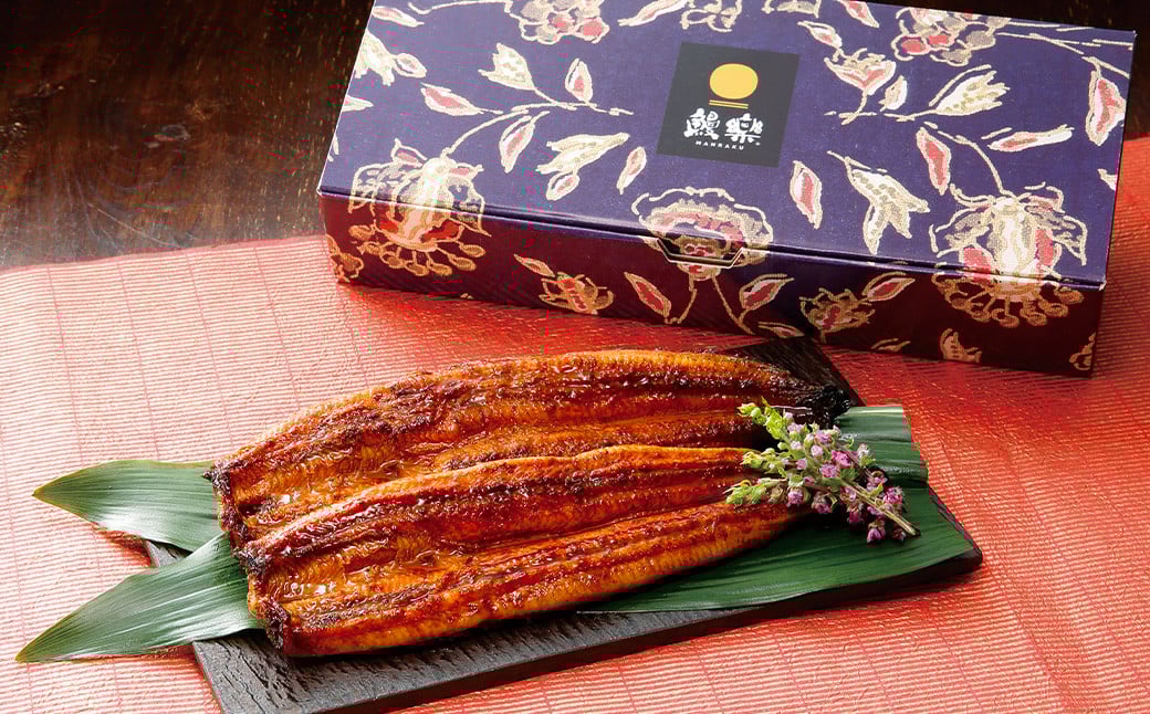 ＜うなぎ蒲焼 4～5尾 計500g以上＞