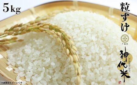 神代米 （ 粒すけ ） 精白米 5kg ／ 米 お米 こめ コメ