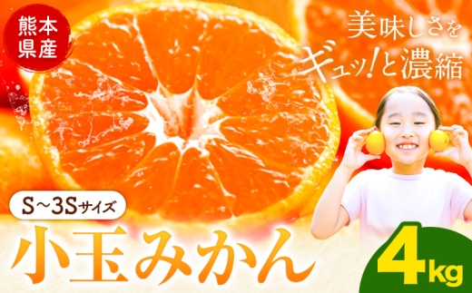 先行予約 小玉みかん 4kg 旬 みかん《9月下旬-12月下旬頃出荷》熊本県 南関町 ご家庭用 熊本県産 S-3Sサイズ フルーツ 柑橘 温州みかん 早生 中生 晩生 ジュース ゼリー 訳あり 小玉 熊本