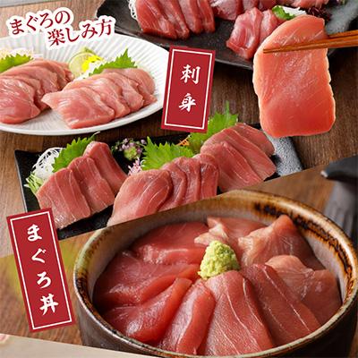 ふるさと納税 松浦市 鷹島産本まぐろ1kg　まぐろ丼のたれ付き |  | 02