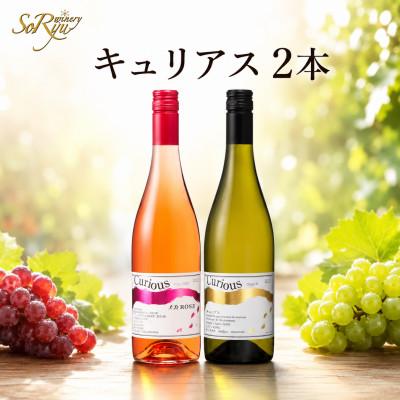 ふるさと納税 甲州市 蒼龍葡萄酒が贈る『キュリアス』ロゼ白ワイン2本セット　 B15696