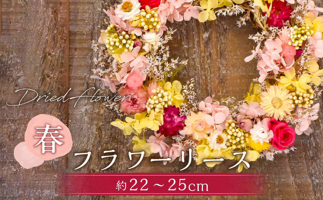 
【ドライフラワー】春のフラワーリース 直径：約22～25cm
