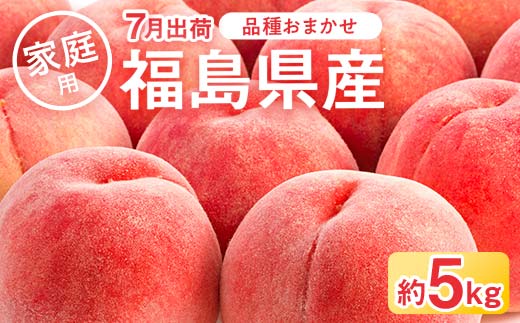 
                  2026年先行予約 家庭用の桃 福島県産 品種おまかせ 約5kg 7月出荷分 数量限定 期間限定 桃 もも モモ 果物 くだもの フルーツ F21C-083
                