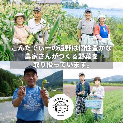 ふるさと納税 遠野市 【発送月固定定期便】奇数月発送 旬のとれたて野菜セット(5~7品)ライトサイズ全6回 |  | 03
