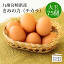 九州宮崎産 『きみの力（チカラ）』Lサイズ卵75個 たまご 玉子 大容量 コスパ・ボリューム満点卵セット 空気と水のきれいな霧島連山の麓の町でミネラルたっぷりのカキガラや上質な完全配合飼料ですくすく育った鶏が産む卵は甘くておいしい逸品 送料無料