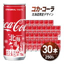 【ふるさと納税】 コカ・コーラ 北海道限定デザイン 250ml 缶 × 30本 炭酸飲料 ミニ缶 飲み切り サイズ 限定パッケージ 札幌工場製造 贈答 ご当地 ジュース ソフトドリンク 北海道 札幌市