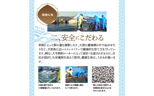 どっさり大和ブリ切り身 N072-YC118