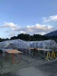 1986 〈伊勢市指定天然記念物〉山勘がつくる蓮台寺柿「干し柿」5袋 伊勢市指定天然記念物 蓮台寺柿 柿 干し柿 希少な果物 旬 三重県産 おすすめ品 おいしい 甘い 人気商品 限定品 伊勢市 数量限