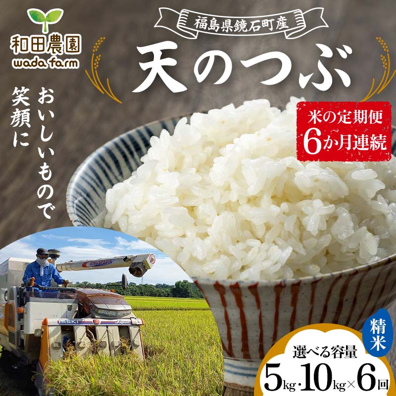 【ふるさと納税】《選べる容量》〈先行予約 2025年産米〉【米の定期便】福島県鏡石町産 和田農園「天のつぶ」精米《5kg 10kg》 6か月連続 F6Q-301var