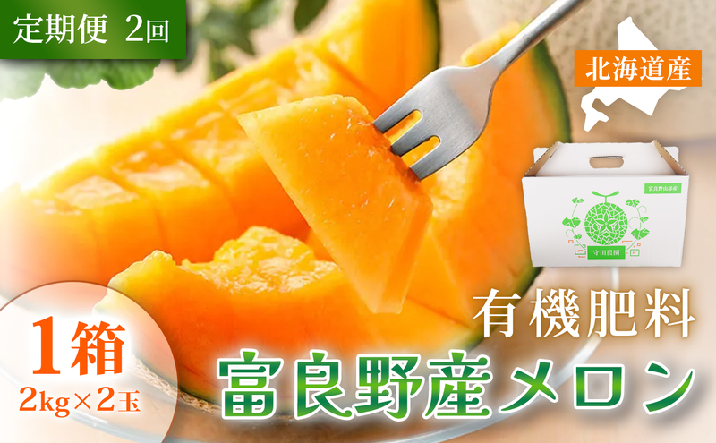 【定期便2ヵ月】糖度15度以上 赤肉メロン 富良野産 特秀品メロン 2kg×2玉 1箱 計4kg×全2回｜北海道富良野市 7～8月発送 贈答用 ギフト プレゼント メロン 赤肉メロン 富良野メロン 果物 フルーツ とろける甘さ 夏季限定