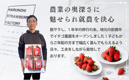 いちご 大粒完熟いちご「やよいひめ」800g