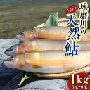 【ふるさと納税】球磨川の天然鮎 (子持ち) 1kg あゆ アユ 魚 塩焼き 川魚 魚介 海鮮 冷凍 FKP9-526