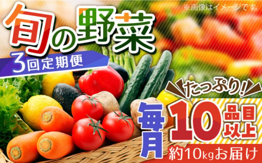 【3回定期便】地元農家さんが収穫した旬のお野菜 10㎏ 10種詰め合わせ / 野菜 旬 新鮮 採れたて 季節野菜 旬野菜 農家直送 野菜定期便 定期便 / 南島原市 / ミナサポ [SCW045]