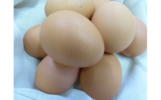 ◆12ヵ月定期便◆ 黄身がしっかり濃厚な卵【アスタの恵み】90個×12