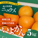 【ふるさと納税】【先行予約受付中】産地直送！愛媛県産いよかん 5kg　※2025年1月上旬～2月上旬頃に順次発送予定　≪柑橘 みかん ギフト≫