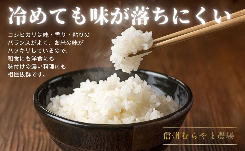 こしひかり 3kg 米 塩田平の「晴米」 コシヒカリ こしひかり 精米