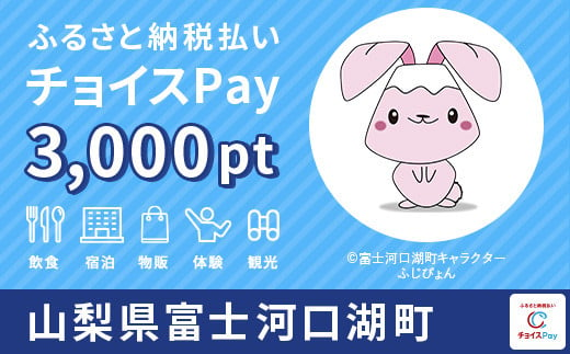 
富士河口湖町チョイスPay 3,000pt（1pt＝1円）【会員限定のお礼の品】
