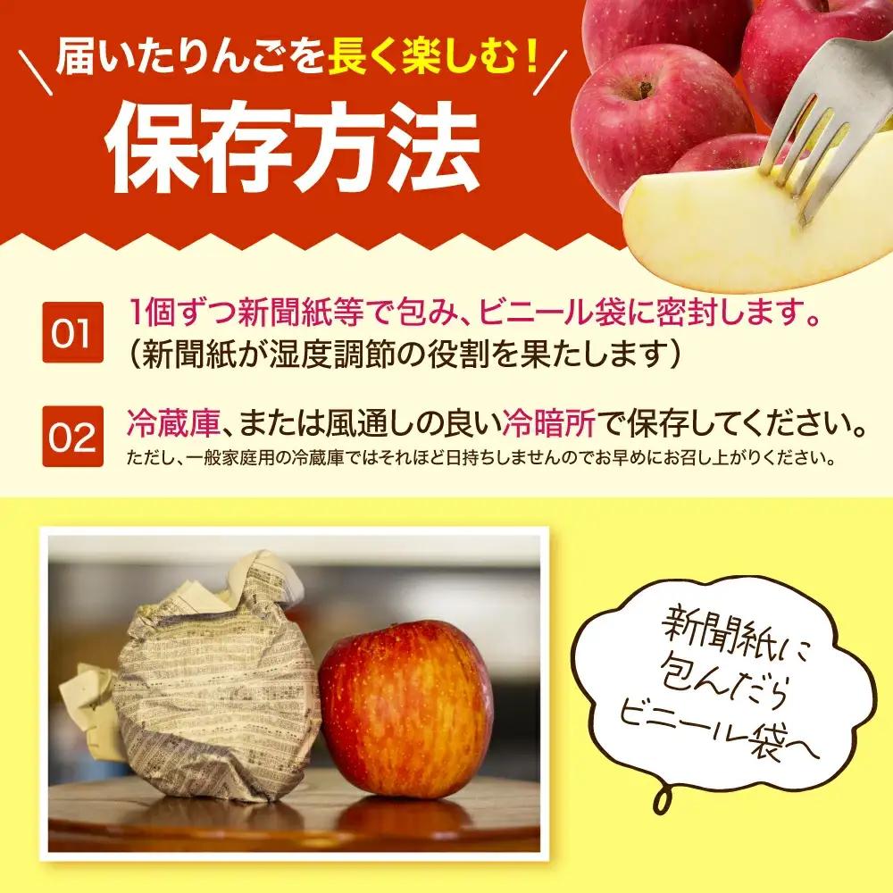 りんご サンふじ 5kg フルーツ 果物 山形 リンゴ