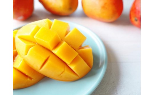 
            ＜先行予約・数量限定＞【2026年7月上旬〜お届け】フルーツ幸せ農園のアップルマンゴー2kg【家庭用】SN001
          