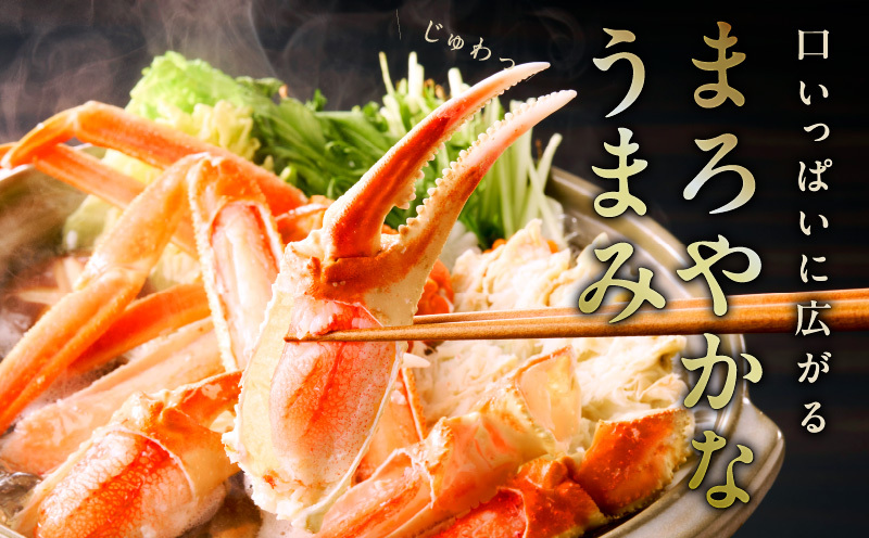 ボイルずわい蟹 2kg 5Lサイズ 4肩前後 昆布仕立て 030D176_イメージ2