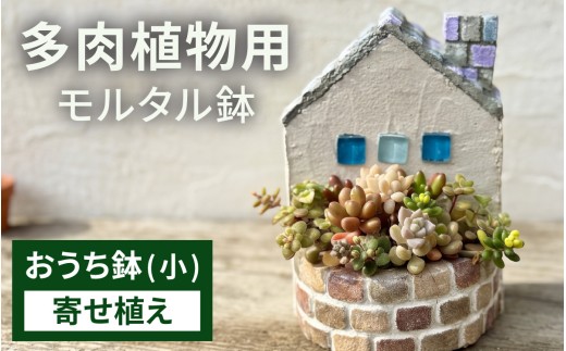 モルタル造形おうち鉢(小)と多肉植物の寄せ植え【期間限定】 | 苗 多肉 植物 季節 たにくしょくぶつ ショクブツ タニク 多種類 グリーン インテリア 自然 DIY セダム エケベリア 観葉植物 永平寺 福井[A-078005]