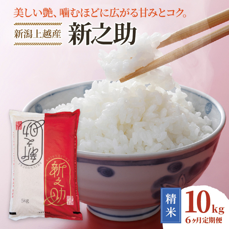 令和8年産 新潟県上越市産 新之助 定期便 10kg×6回 60kg しん
