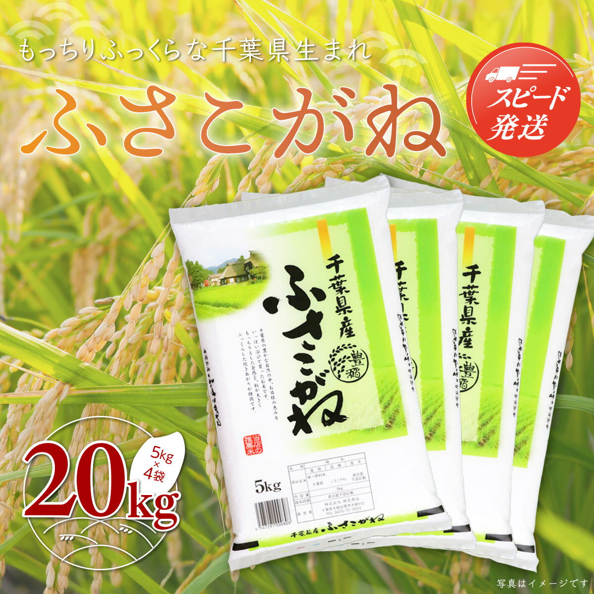 【ふるさと納税】【最短2～7営業日出荷】令和7年産 千葉県産「ふさこがね」20kg（5kg×4袋） お米 20kg 千葉県産 大網白里市 ふさこがね 米 精米 こめ 送料無料 A005