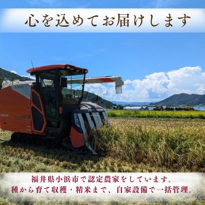 ふるさと納税 小浜市 先行受付　令和7年産福井県産こしひかり　白米10kg |  | 03