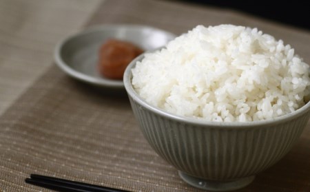 米 お米 有機栽培 国産 紀生(きりゅう) 5kg×2 10kg 【9月末から5月末までの期間で順次発送】【rnm002】 