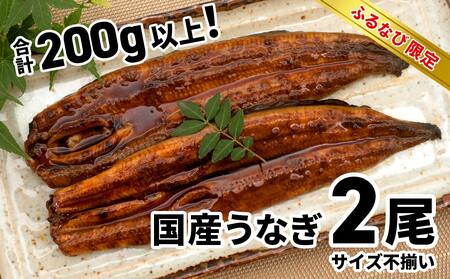 【7日以内発送！】お試し 訳あり さかい河岸水産 国産うなぎ 2尾 200g以上 人気 鰻 うなぎ蒲焼 K2629