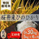 【ふるさと納税】＜特別栽培米＞桜井市高家産 ヒノヒカリ 5kg 玄米 定期便（全6回）／玄米 奈良県産 桜井市産 奈良のお米 ヒノヒカリ 藤本農園