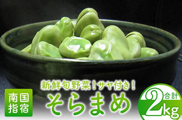 
            【2026年3月中旬～発送】そらまめ約2kg(オネファーム/013-1012) そら豆 そらまめ 野菜 サラダ おつまみ 豆 旬 冬 春 指宿 鹿児島 いぶすき いぶすき陵西
          