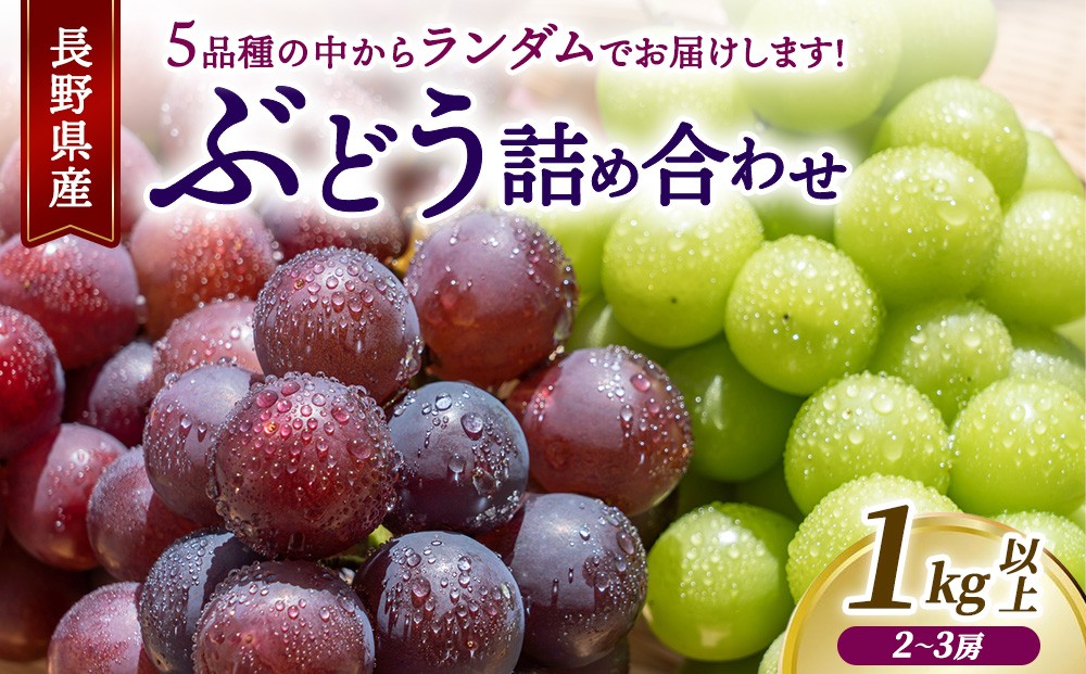
                  ぶどうの詰め合わせ　1kg以上　[5品種の中からランダム]　G-1 | Gr-1｜※2026年10月～発送
                