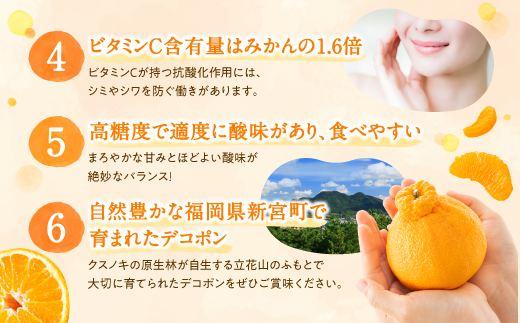 ZG257.【昨年も大人気】デコポン（1.5kg程度）／2027年2月～3月配送