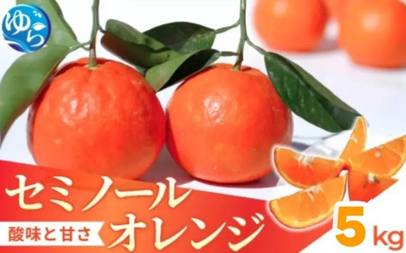 セミノール 5kg /  みかん 晩柑 柑橘 果物 送料無料 産地直送 和歌山県 由良町 ※3月下旬～4月下旬頃に順次発送予定【kzmn016-r-5】