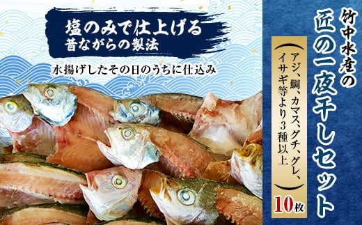 
竹中水産の匠の一夜干し10枚セット! ＜C22-226＞_ 一夜干し 天日干し 干物 ひもの 天然 食べ比べ 詰合せ セット 魚介 魚介類 海鮮 冷凍 愛媛 八幡浜 産直 産地直送 国産 おかず おつまみ 【1054228】
