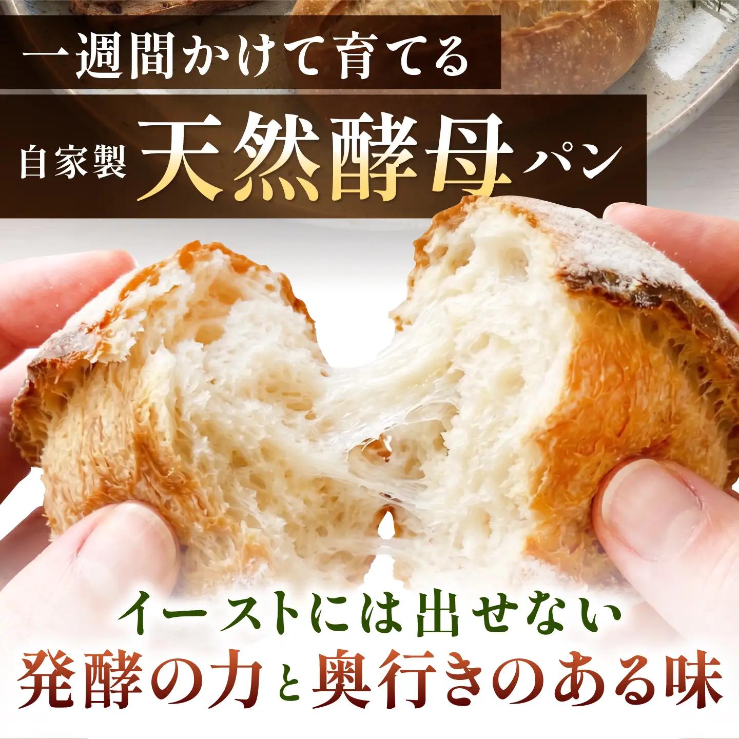 RENZO ハード系パン 人気7～8種セット / パン パンセット 天然酵母パン セット 冷凍 ハード系 ハードパン 詰め合わせ カンパーニュ めんたいフランス ぱん 朝食 / 諫早市 / 蓮三[AH