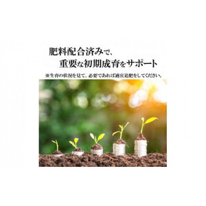 【播種・移植用培養土】種まき培土30L×4袋セット
