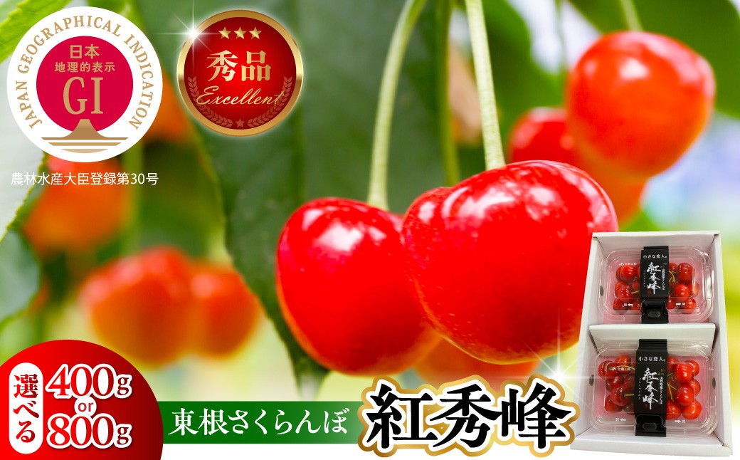 ≪内容量が選べる≫ 【2027年産】 GI 東根さくらんぼ 「紅秀峰」 秀品 【400g (200g×2P)・800g (200g×4P)】 Lサイズ以上 山形県 東根市 ベジフルひがしね hi104-021-r9-o フルーツ 果物 くだもの さくらんぼ サクランボ 期間限定 先行受付 ご当地 特産 産地 直送 人気