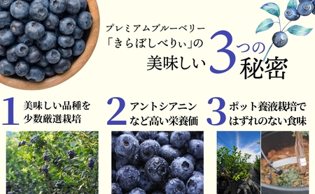 きらぼしべりぃのリッチソルベ4個入り