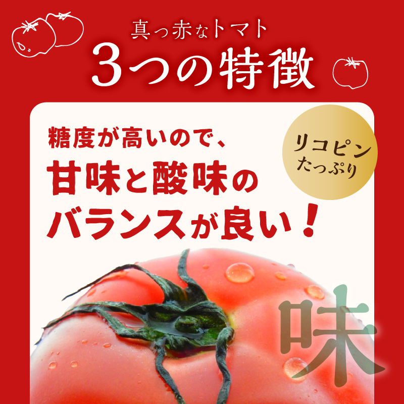 期間限定　真っ赤なトマトわけあり大容量6ｋｇ～7ｋｇ【A9-014】