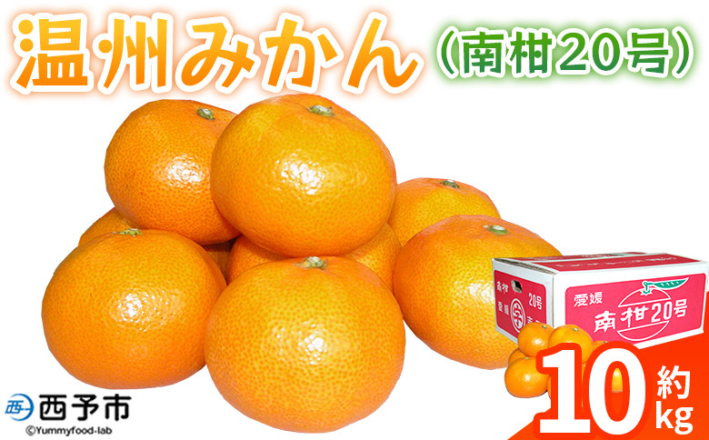 
            ＜温州みかん（南柑20号）約10kg＞ 果物 フルーツ みかん ミカン 蜜柑 オレンジ 柑橘 うんしゅうみかん ウンシュウミカン なんかん20ごう 食べて応援 特産品 JA えひめ南農業協同組合 愛媛県 西予市【常温】
          