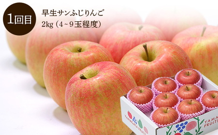 【先行予約 2026年度発送】♪フルーツ王国山形♪ 定期便3回 Fコース りんご リンゴ 林檎 デザート フルーツ 果物 くだもの 果実 食品 山形県 FSY-2561