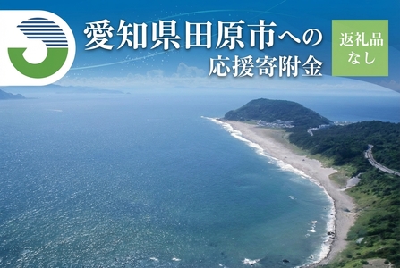 《返礼品なし》愛知県田原市への寄付 10,000円分 応援寄附金 応援 選べる 金額 使い道 愛知県 田原市 渥美半島