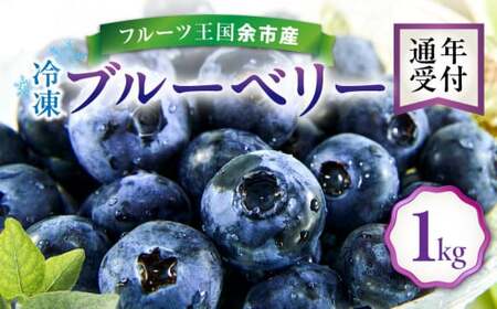 フルーツ王国余市産 冷凍ブルーベリー 1㎏ 【ニトリ観光果樹園】_Y074-0129