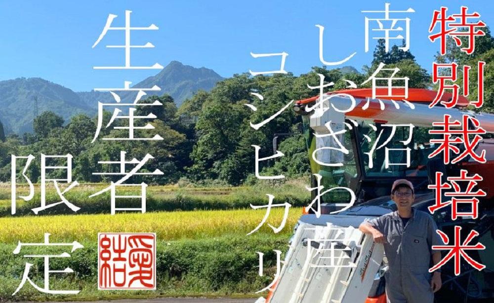【令和8年産　新米予約】【定期便2Kg×3ヶ月】【特別栽培米】 契約生産者限定  南魚沼しおざわ産コシヒカリ【定期便 銘柄米 ブランド米 精米 こしひかり コシヒカリ 魚沼産 新潟米 産地直送 お米 米】【2026年10月上旬から1ヶ月以内に順次発送予定】