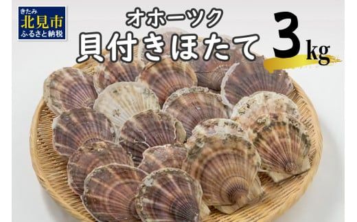 【予約：2025年3月下旬から順次発送】オホーツク貝付きほたて 3kg(15枚～25枚)( 海鮮 魚介 魚介類 貝 貝類 ホタテ ほたて 帆立 殻付き 貝柱 贈答 ギフト 贈り物 お中元 お祝い BBQ バーベキュー )【031-0003-2025】
