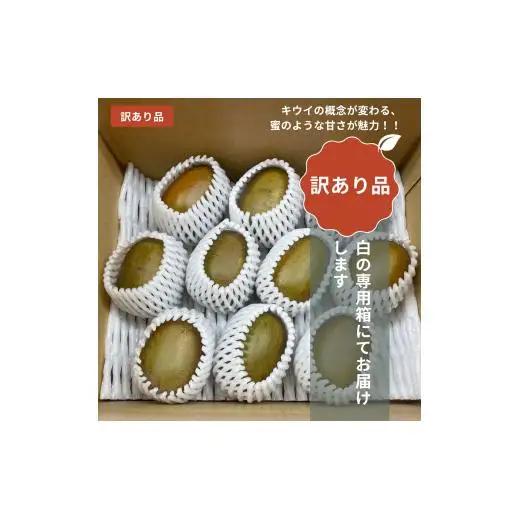 ＜10月下旬以降発送＞【ぽぽ農園】【訳あり・ご自宅用】レインボーレッドキウイ（四国中央市産レインボーレッド） Lサイズ 約2kg（17個～21個）